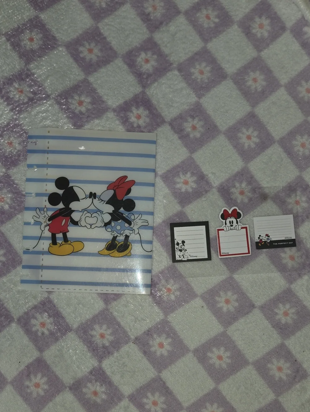 Mickey And Mini Mouse Note Pads